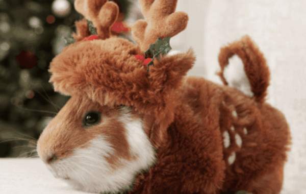 Hamster with Reindeer Antlers
