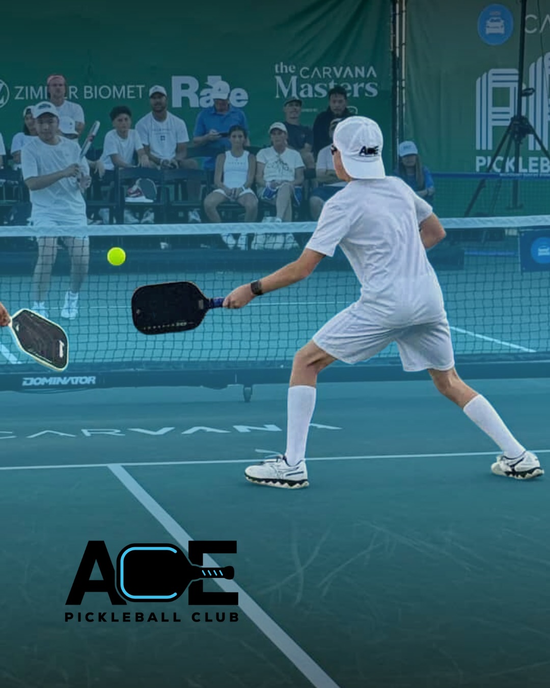 New Year, New Membership