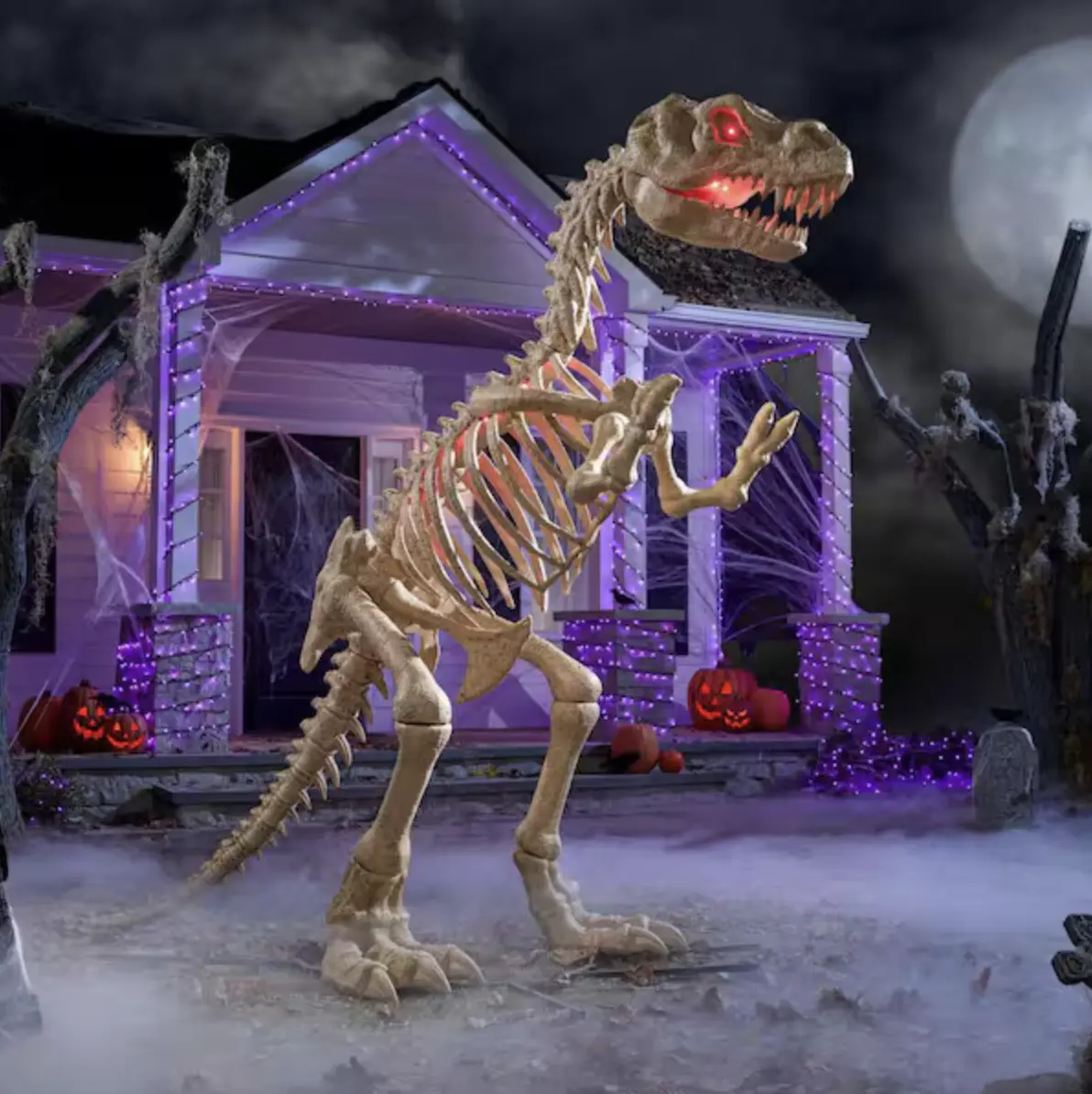 Halloween Décor