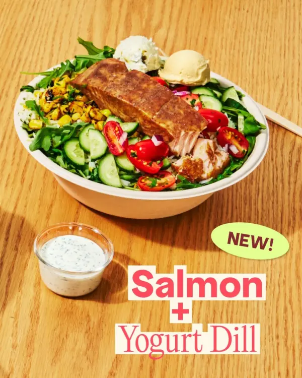 Salmon + Yogurt Dill