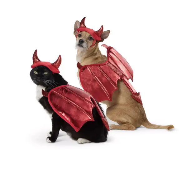 Devil Costume